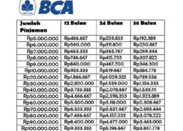 Rincian Tabel KUR BCA Terbaru 2024 Pinjaman Rp 25 Juta-Rp 100 Juta, Saatnya Kembangkan Usahamu