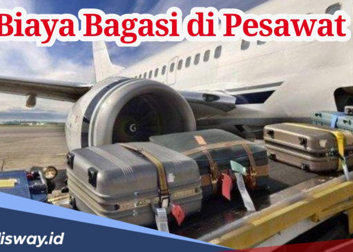 Cek, Daftar Biaya Bagasi Pesawat Maskapai di Indonesia, Termurah Segini