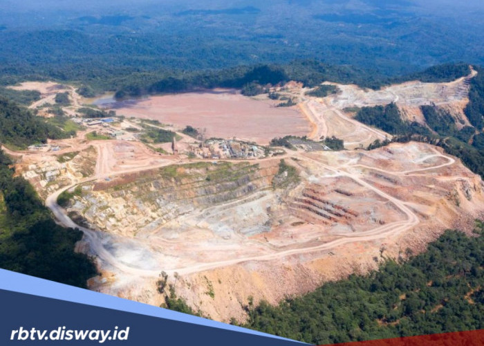 Indonesia Punya 5 Tambang Emas Terbesar, Berikut Fakta yang Banyak Belum Diketahui Masyarakat