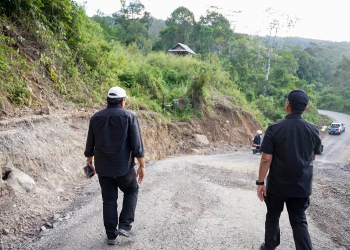 Hasil Wagub Mian dan Dandim 0409 Rejang Lebong Tinjau jalan Talang Ratu Lebong