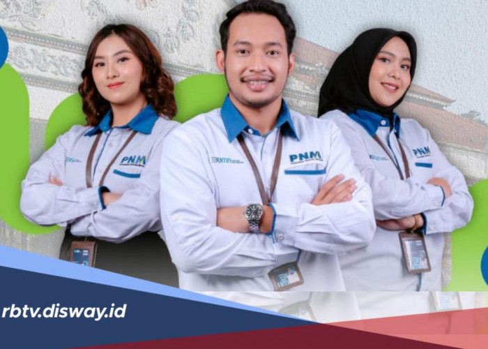 Loker BUMN PT MUM 2024, S1 Semua Jurusan Silakan Daftar, Cek Posisi dan Persyaratan