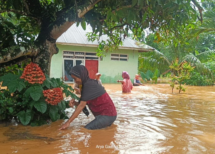  Diguyur Hujan 12 Jam, Sungai Air Nelas Meluap dan Ratusan Rumah di Cahaya Negeri Seluma Terendam Banjir 