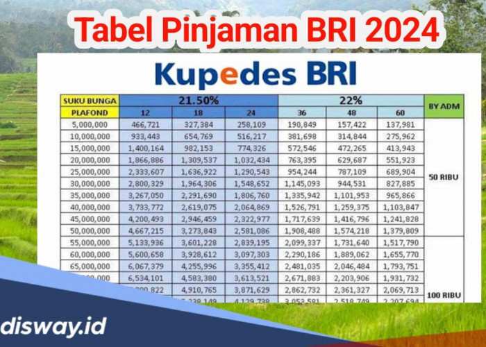 Non KUR, Ini Tabel Angsuran Pinjaman BRI Rp 50 Juta Sampai Rp 500 Juta, Bisa Dicicil hingga 5 Tahun