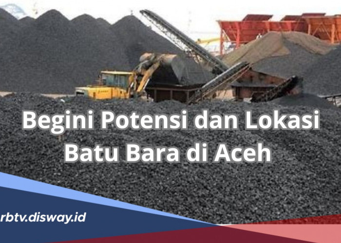 Luar Biasa Potensi dan Lokasi Batu Bara di Aceh, Ada Cadangan Harta karun 1.5 Miliar Metrik Ton
