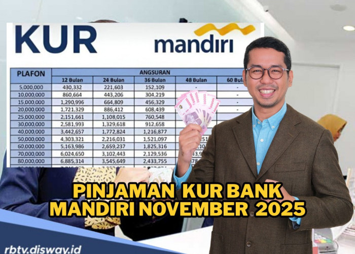 Pengeluaran Harian Membengkak tapi Usaha Jalan Ditempat, Ajukan KUR Mandiri Rp 80 Juta agar Selamat