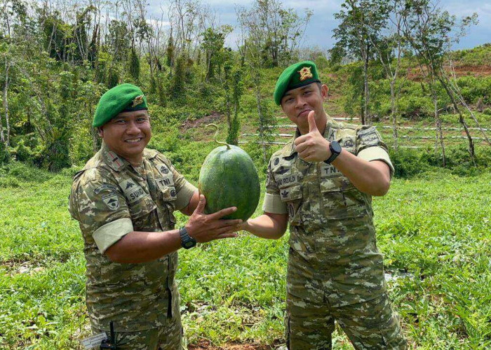 Program Ketahanan Pangan Yonif TP 847/VS, Panen 5 Ton Semangka