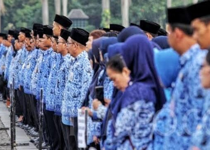 Banyak Pelamar Bingung, Ini Detail Kualifikasi Pendidikan PPPK Kemenham 2026