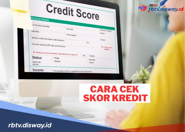 Cara Cek Skor Kredit Secara Online Melalui SLIK OJK, Mudah dan Praktis