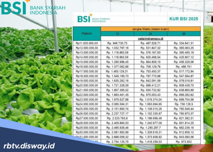 KUR BSI 2025, Modal Usaha Tani hingga Rp 350 Juta, Segini Angsurannya