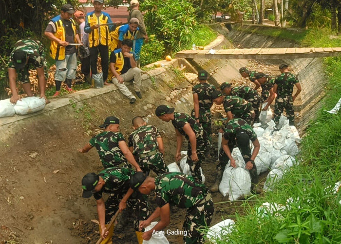 Atasi Krisis Air Sawah, TNI dan BWSS VII Bangun Tanggul Darurat di Seluma