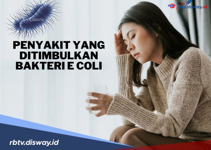 Hati-hati, 4 Penyakit Berbahaya Ini Berpotensi Muncul Akibat Bakteri E.Coli, Begini Cara Menanganinya