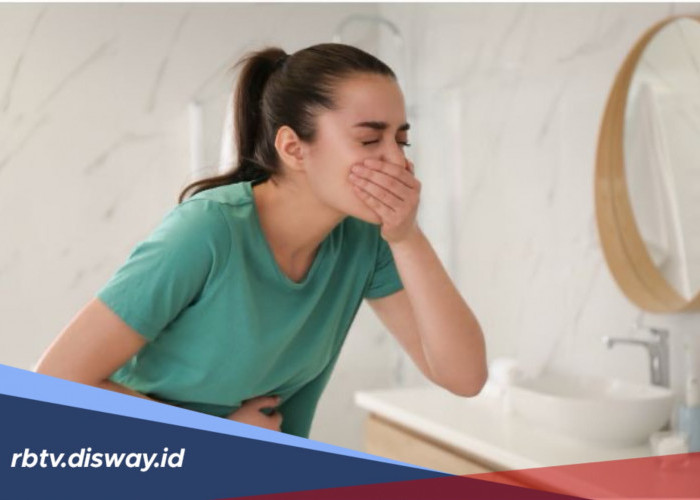 Kenali Fase Kritis Demam Berdarah, Jangan Terkecoh Saat Demam Turun