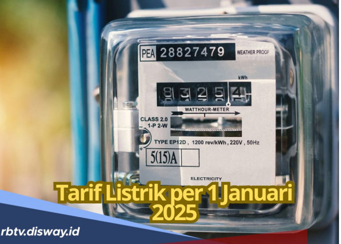 Per Januari 2025, Segini Tarif Listrik PLN Per KWH, Ada Kenaikan? 