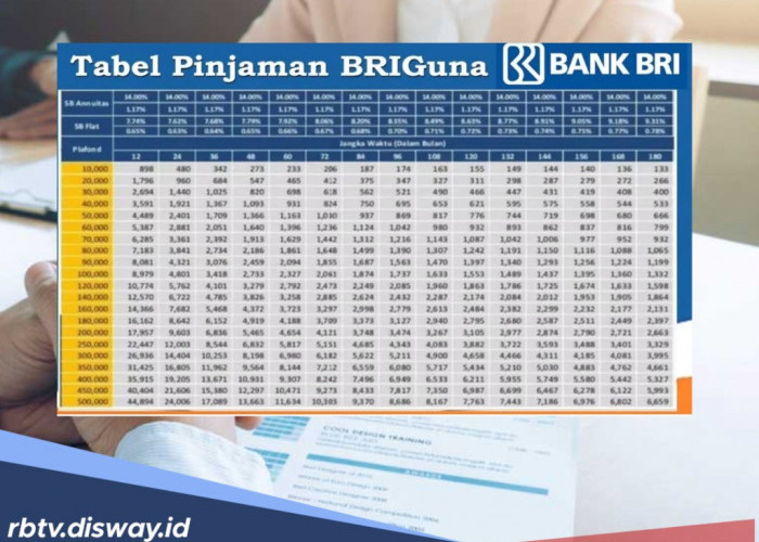 Simulasi Pinjaman Briguna Karya 2026 Rp 100 Juta, Berikut Syarat agar Pengajuan Disetujui