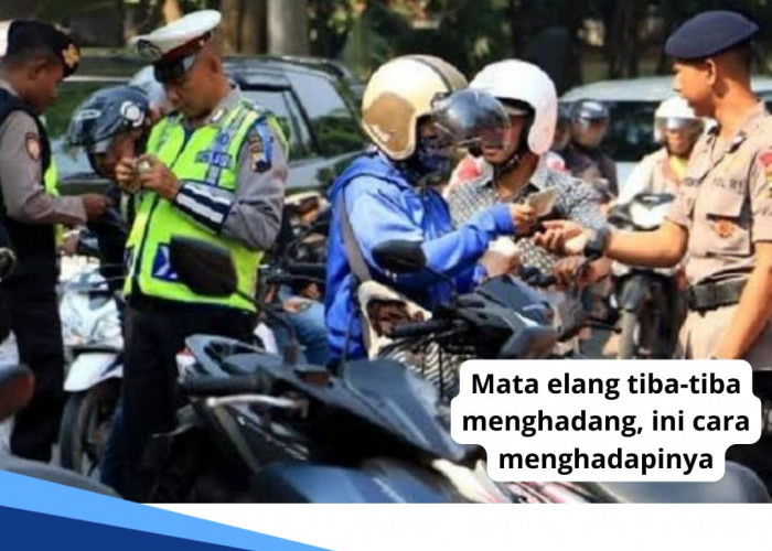 Jangan Panik, Ini 11 Cara untuk Menghadapi Mata Elang Tiba-tiba Menghadang