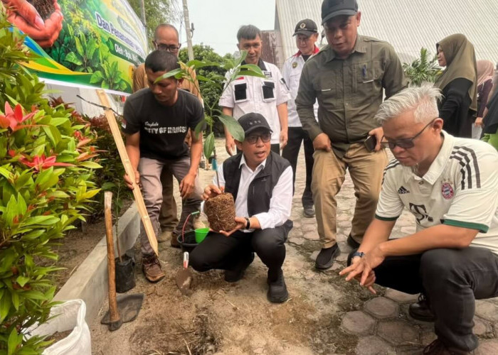 Hijaukan Jalan Merapi-Kebun Tebeng, Wali Kota Bengkulu Tanam 400 Bibit Alpukat