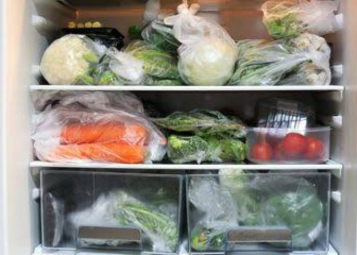 Simpan Buah dan Sayur dengan Kantong Plastik di Kulkas Bisa Bahaya untuk Kesehatan Tubuh, Solusinya Begini