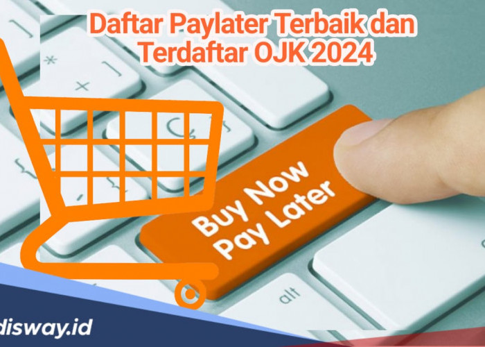 Daftar 5 Paylater Terbaik dan Terdaftar OJK 2024, Nomor Satu Paling Diminati!