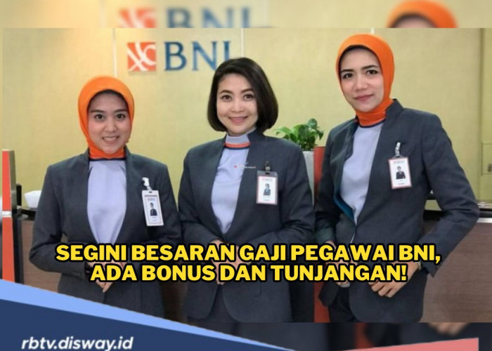 Wajar Jadi Idaman, Ternyata Segini Besaran Gaji Pegawai BNI, Ada Bonus dan Tunjangan