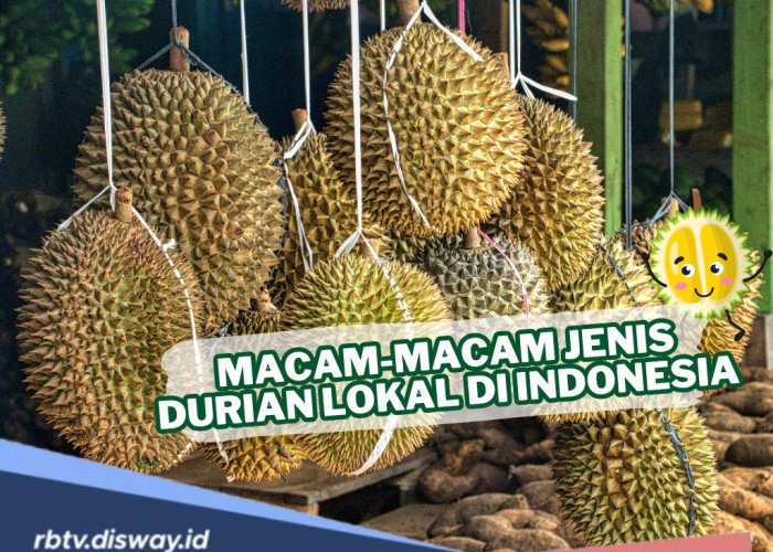 Jenis Durian Lokal di Indonesia, Punya Ciri-ciri Unik dan Khas, Mana yang Jadi Favorit?