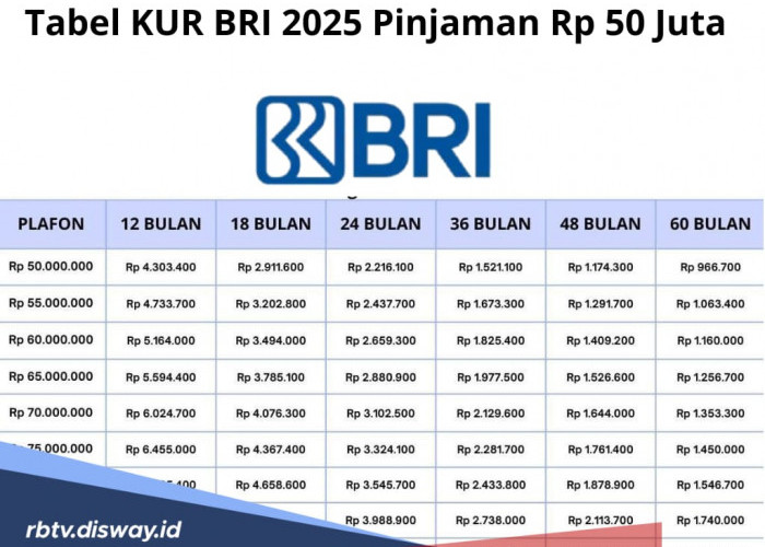 Pengajuan Pinjaman Bisa Secara Online, Cek Tabel Angsuran KUR BRI 2025 Pinjaman Plafon Rp 50 Juta 