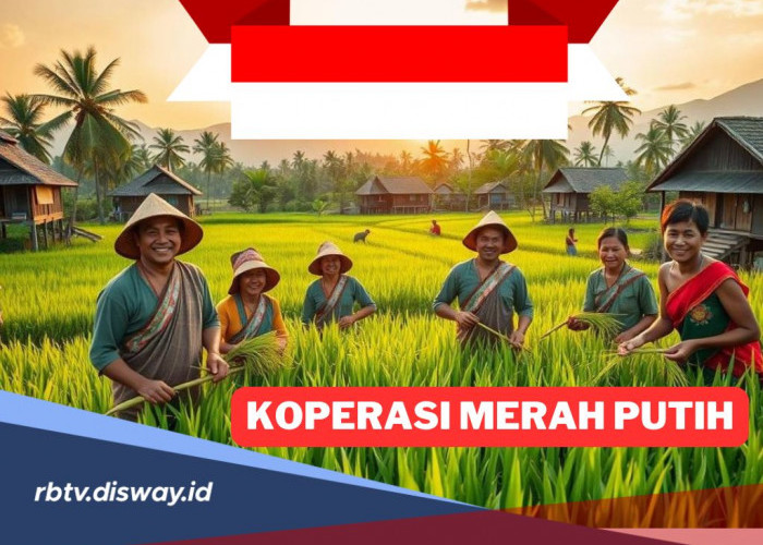 Mekanisme Pengesahan Akta Pendirian Koperasi Merah Putih, 80 Ribu Koperasi Siap Meluncur Juli 2025