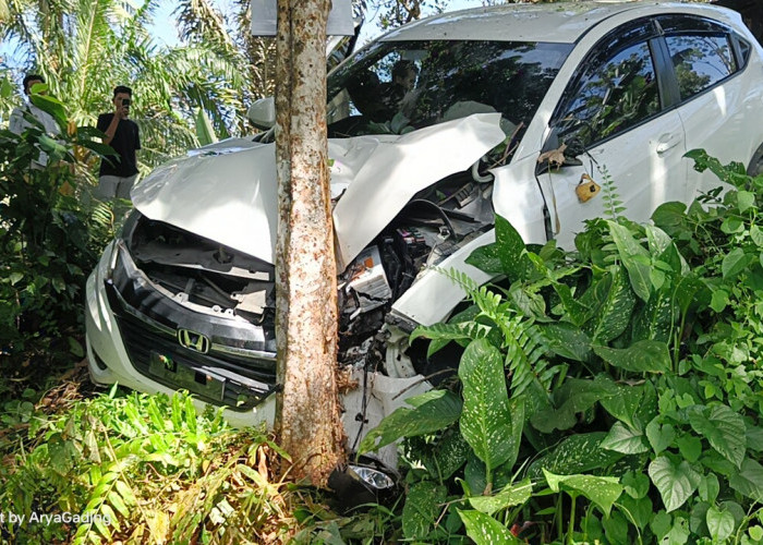 Honda HRV Tabrak Pohon Duku di Seluma, Begini Kronologisnya