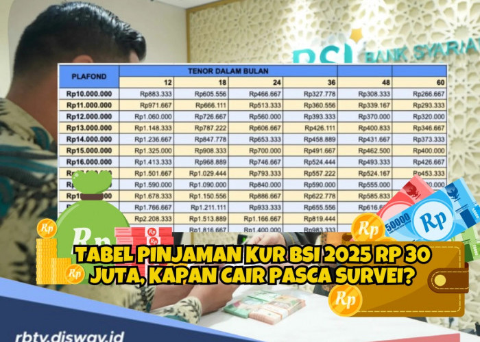 Tabel Pinjaman KUR BSI 2025 Rp 30 Juta, Kapan Cair Pasca Survei? Simak Informasinya di Sini 