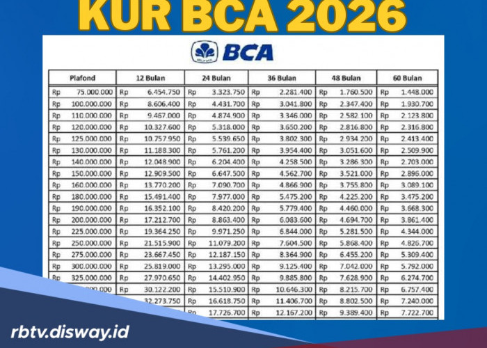 Ternyata Begini Ciri-ciri Pengajuan KUR BCA Anda akan Disetujui