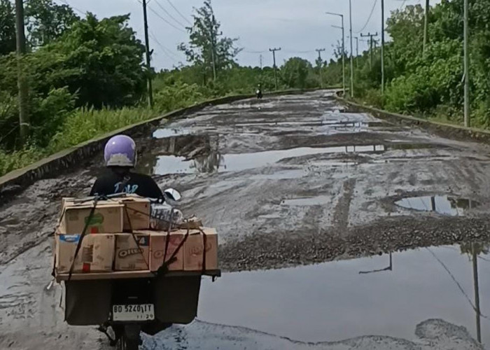 Kata Teuku Waka I DPRD Provinsi Bengkulu Terkait Pembangunan Jalan Kawasan Pelindo Pulau Baai 