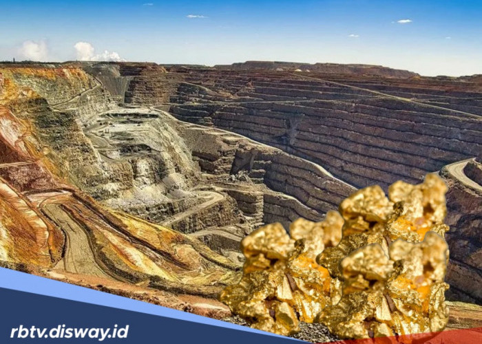 Izin Operasi Hingga Tahun 2041, Jumlah Emas yang Dikeruk 6 Perusahaan Tambang Terbesar di Indonesia