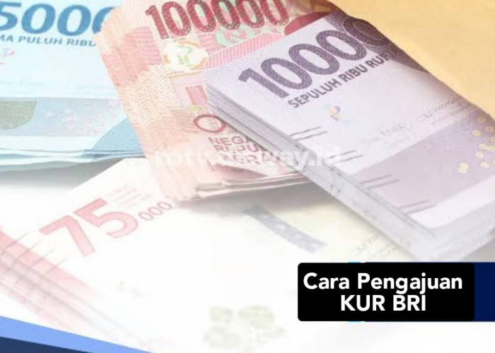 Cara Pengajuan KUR BRI 2024, Syaratnya Jangan Pakai KTP Seperti Ini agar Rp 100 Juta Cair