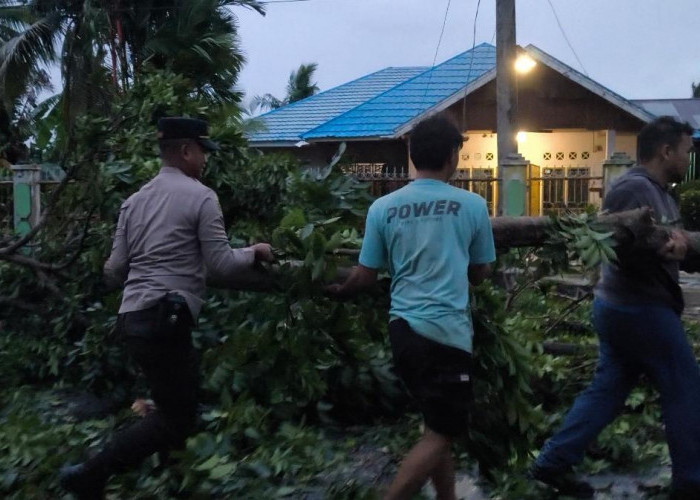 Polsek Selebar Gerak Cepat Bersihkan Pohon Tumbang di Jalan Bumiayu Raya