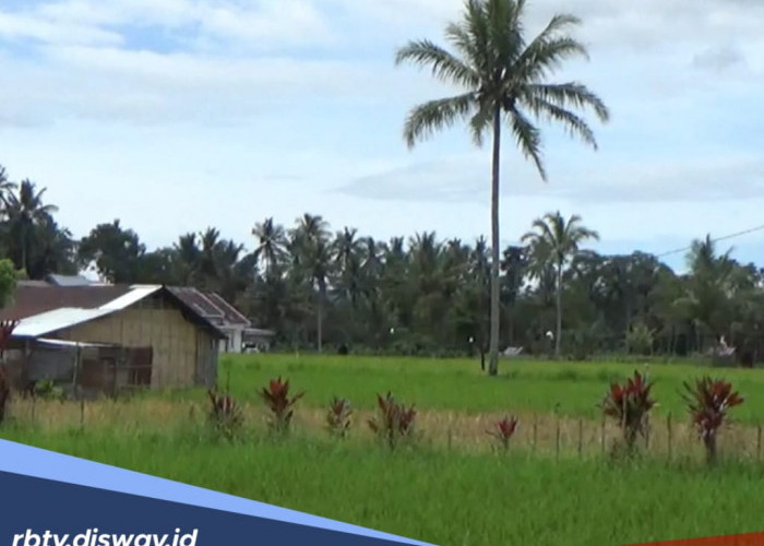 360 Hektare Lahan di Rejang Lebong Siap untuk Cetak Sawah Baru, Ini Lokasinya