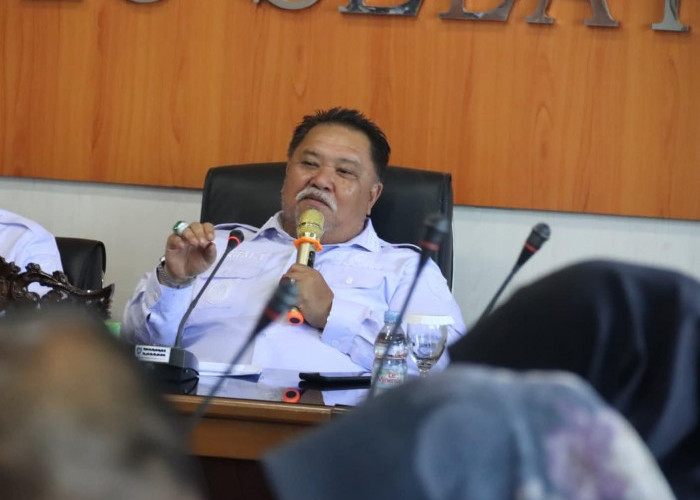 Pemkab Bengkulu Selatan Anggarkan Rp 3,8 M untuk Mobil Dinas Wabup dan 11 Camat