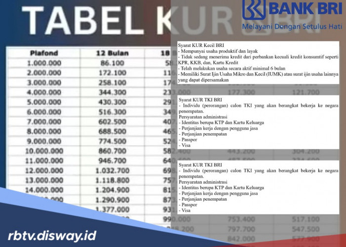 KUR BRI 2025: Syarat, Jenis dan Tips Pengajuan Cepat Cair