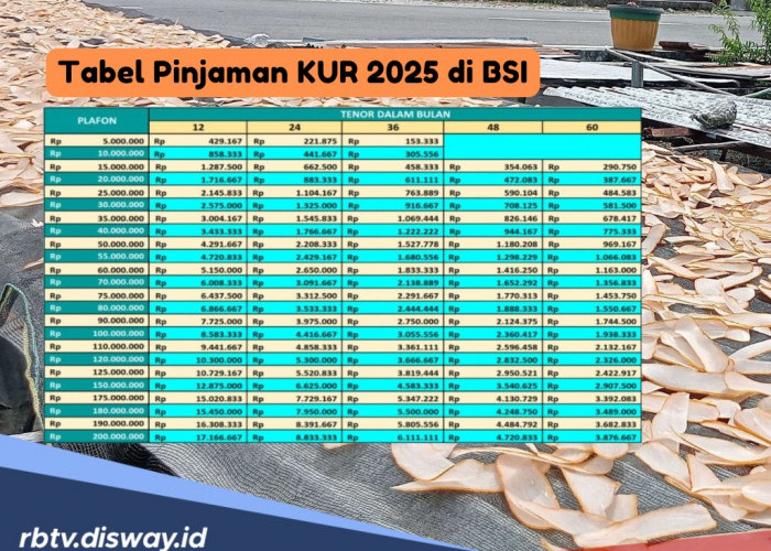 Tabel Pinjaman KUR 2025 di BSI, Pinjam Rp 100 Juta Berapa Angsuran Bulanannya?