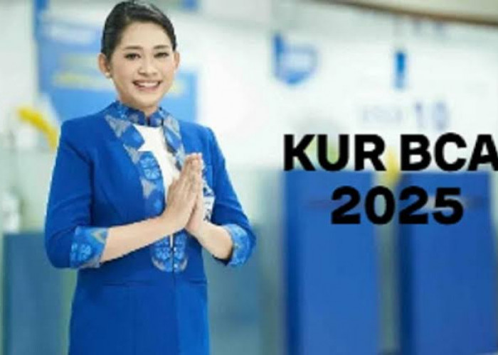 Cairkan Pinjaman Modal Usaha Rp 50 Juta di KUR Pegadaian Syariah 2025, Berikut Simulasi Cicilan per Bulan