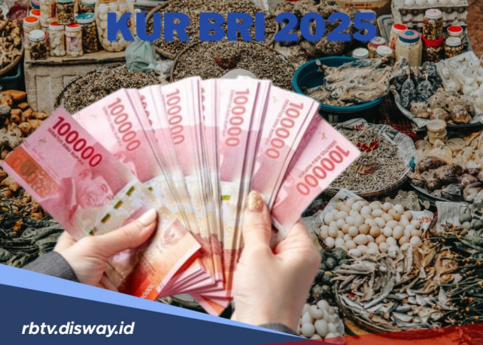 4 Kriteria Usaha Pelaku UMKM, Pinjaman KUR BRI 2025 Pasca Survei Langsung Cair