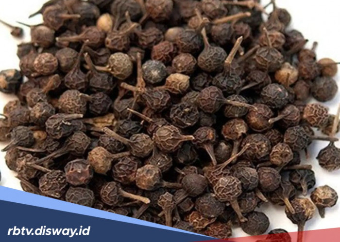 9 Manfaat Kemukus untuk Kesehatan Tubuh, Ini Daftar Khasiatnya