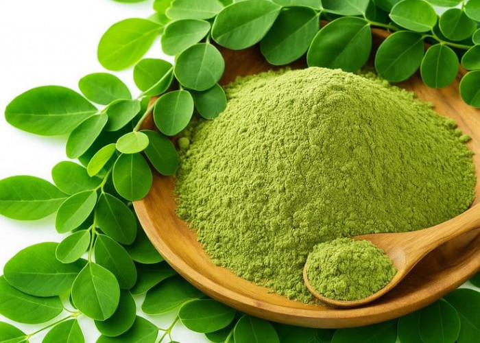 Daun Kelor Bisa Membuat Anda Semakin Cantik, Begini Cara Mengolahnya
