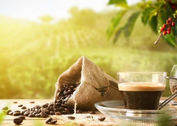 Dunia Sedang Heboh Perang Dagang, Ini Daftar Barang yang Naik Harga, Termasuk Harga Kopi