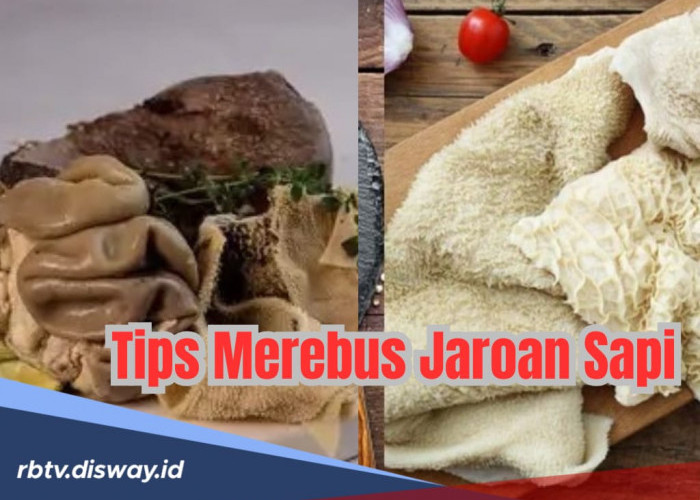 Jeroan Sapi Masih Bau? Ini Tips Merebusnya dengan Tepat, Dijamin Masakan Lezat!