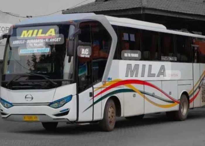 Daftar Harga Tiket Bus Akas Mila Sejahtera 2026 untuk Berbagai Rute 