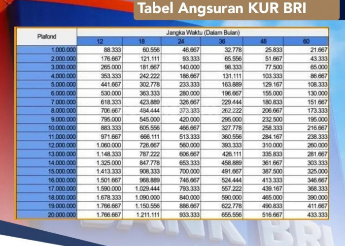 KUR BRI 2024 Pinjaman Rp35 Juta Cicilan Rp 700 Ribuan, Begini Cara agar Pengajuan Cepat Cair