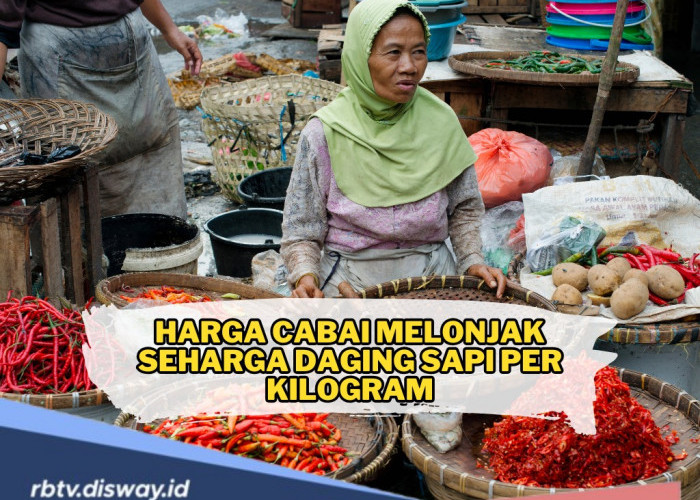 Harga Cabai Makin Menggigit Setara Daging Sapi, Ternyata Ini Penyebabnya