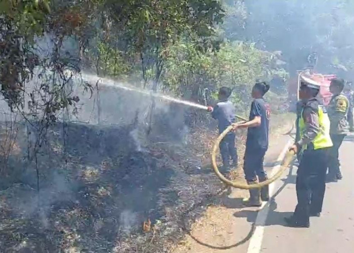 Lahan Pinggir Jalan di Pondok Kubang Bengkulu Tengah Terbakar, Pengendara Ketakutan 