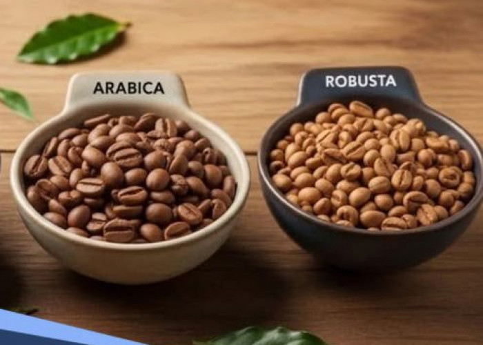 Kopi Arabika atau Robusta, Mana yang Aman Bagi Lambung Sensitif?