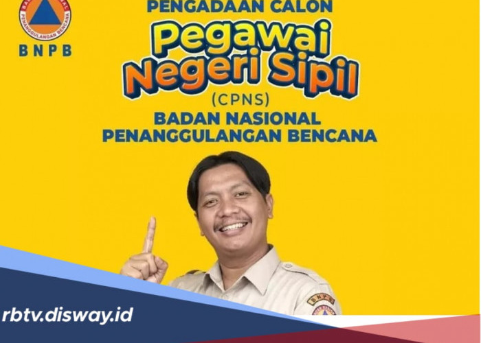 BNPB Buka CPNS 2024, Ada 100 Formasi, Gajinya Rp 7 hingga Rp 9 Juta, Cek Syarat dan Jadwalnya