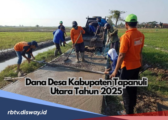 Dana Desa Kabupaten Tapanuli Utara Tahun 2025, Cek Desa Mana yang Dapat Anggaran Paling Besar